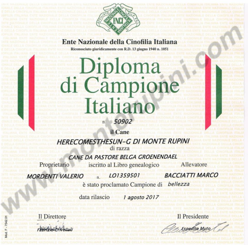 Diploma Campione Italiano